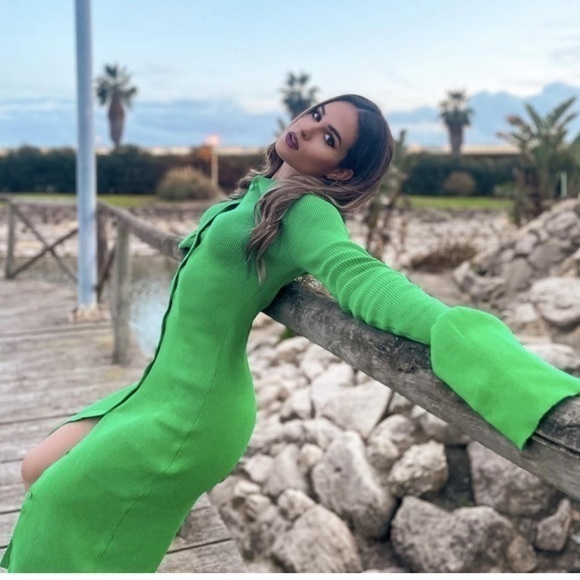 Micas Green Rib Knitted Collared Button Strips Flared Dress Size Large RefI027 - Picture 3 of 17